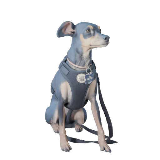 Piper